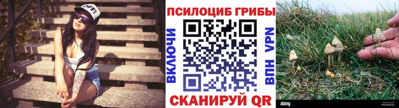 Псилоцибиновые грибы Cubensis  Высоковск 